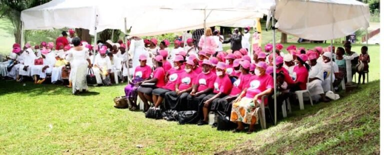 Programs & Impact fb img 1719376152702