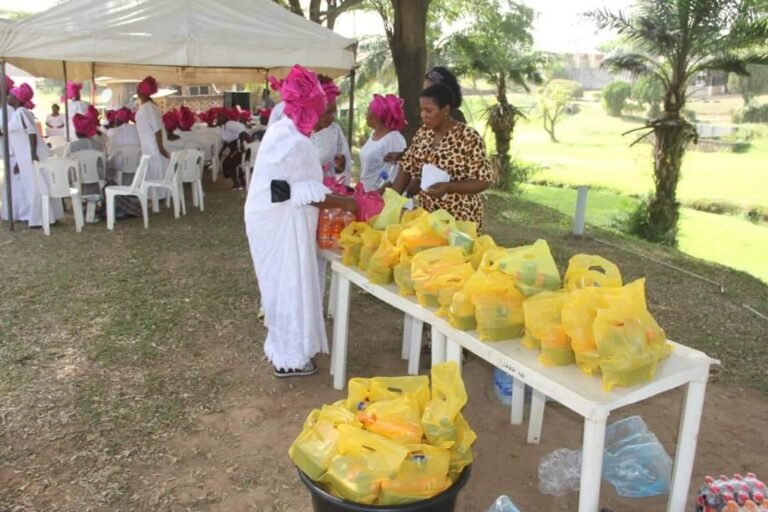 Programs & Impact fb img 1719377097764