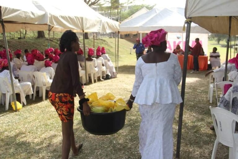 Programs & Impact fb img 1719377145460