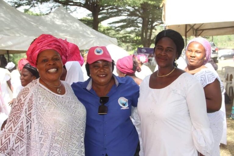 Programs & Impact fb img 1719377149367